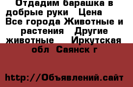 Отдадим барашка в добрые руки › Цена ­ 1 - Все города Животные и растения » Другие животные   . Иркутская обл.,Саянск г.